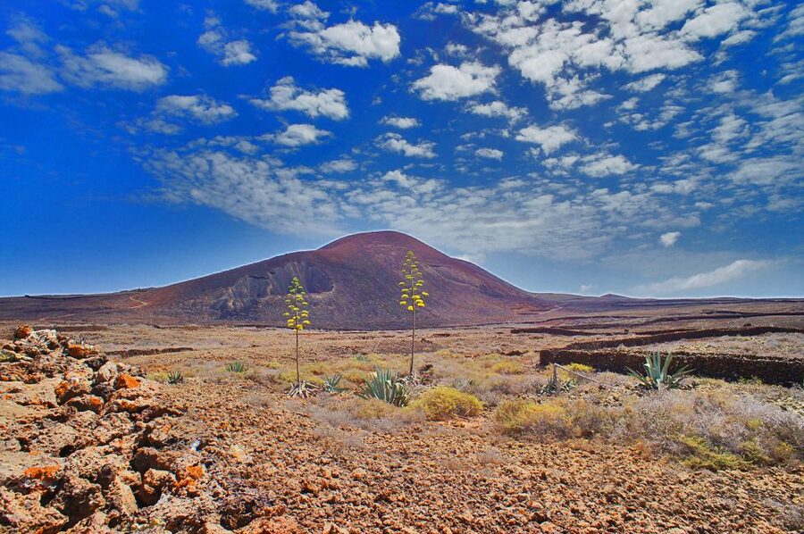Fuerteventura: Trekking Tour Through the North of the Island - Calderón Hondo Volcano: the crater edge view you’ll remember