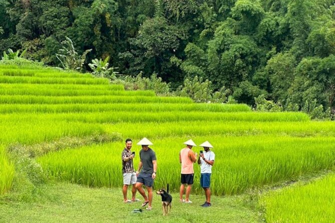 Full-Day Doi Inthanon National Park Tour with Trek and Pagodas - Pickup timing, group size, and how the long day works