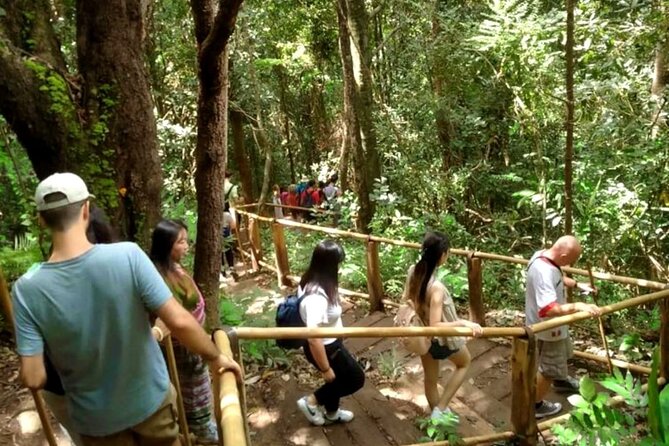 Full-Day Doi Inthanon National Park Tour with Trek and Pagodas - Hmong Market lunch and the Karen Hill Tribe Village stop