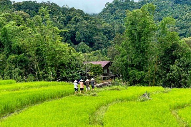 Full-Day Doi Inthanon National Park Tour with Trek and Pagodas - Pha Dok Siew Nature Trail trek: what moderate fitness means