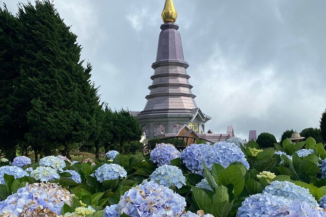 Full-Day Doi Inthanon National Park Tour with Trek and Pagodas - Baan Mae Klang Luang coffee break: a local pause between big sights
