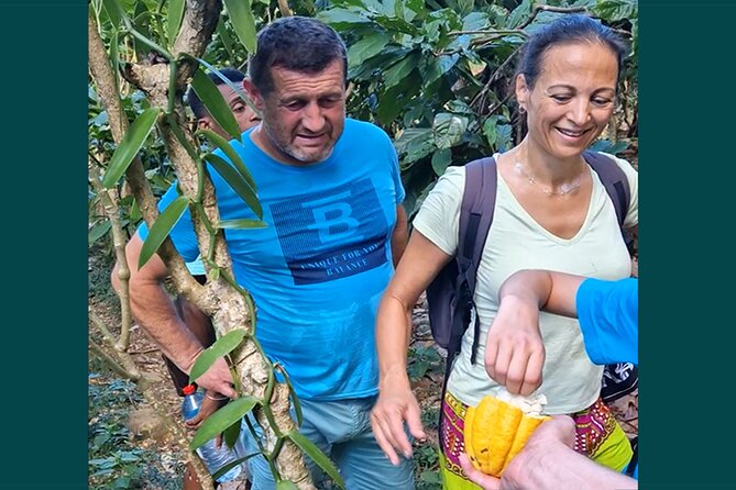 Full-day jungle trek on Nosy Komba (Lemur island) with the Black Lemur Sanctuary - Stop 1: Landing in Anjiabe and the plant tasting trail
