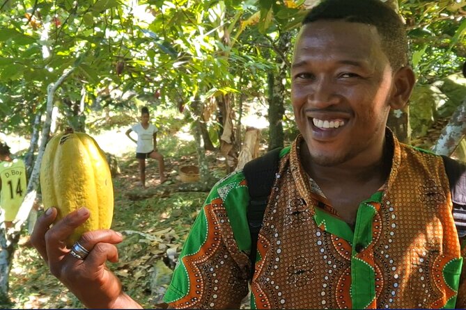 Full-day jungle trek on Nosy Komba (Lemur island) with the Black Lemur Sanctuary - Stop 2: Black Lemur Sanctuary and the last stretch of wildlife