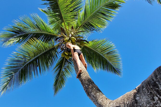 Full-day jungle trek on Nosy Komba (Lemur island) with the Black Lemur Sanctuary - Practical tips so the jungle trek stays fun