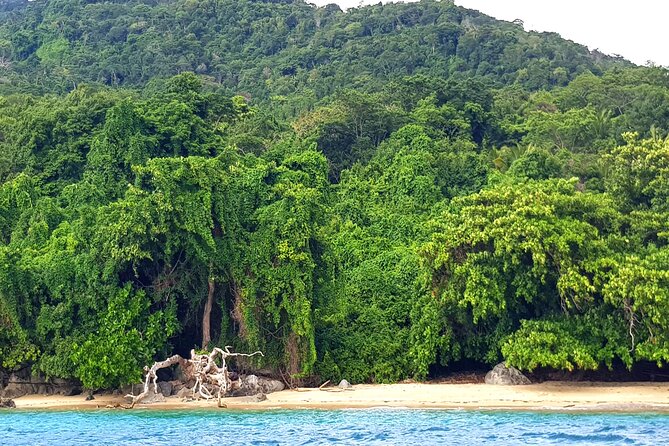 Full-day jungle trek on Nosy Komba (Lemur island) with the Black Lemur Sanctuary - Reaching Komba’s summit: where wildlife pressure increases