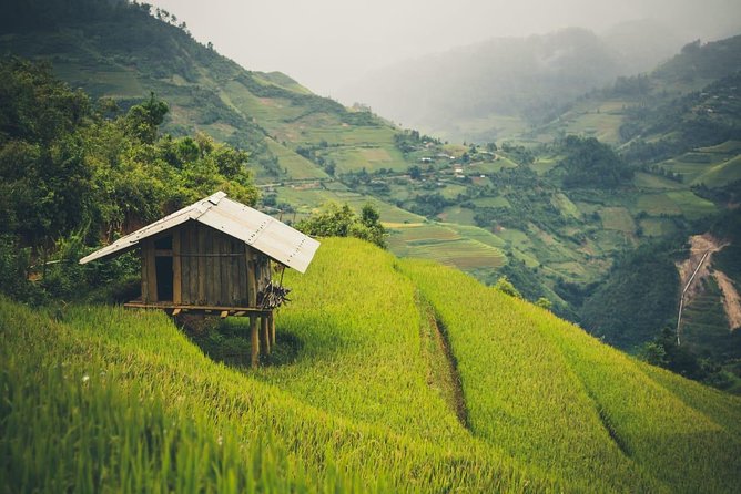 Full Day Private Trekking Mu Cang Chai - Walking through working terraces and Hmong village life