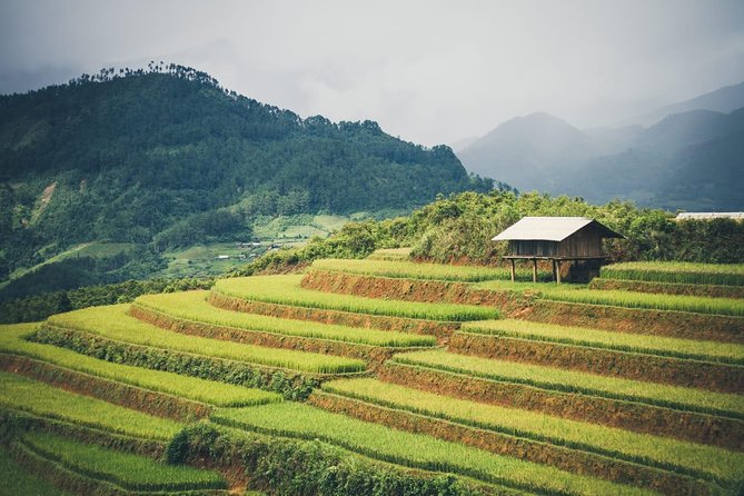 Full Day Private Trekking Mu Cang Chai - Headwater and waterfall: the payoff between viewpoints