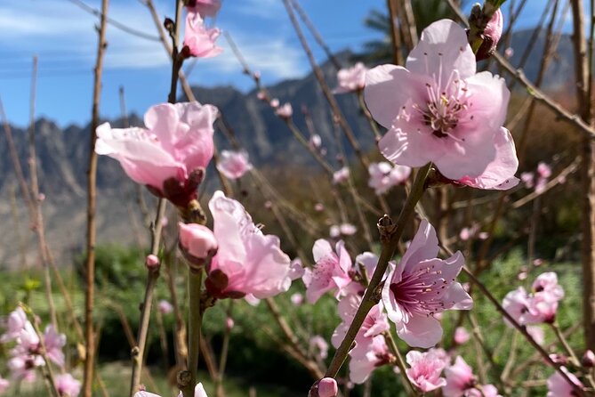 Full Day Tour from Wakan to Jebel Akhdar Trekking - Continuing toward the Green Mountains and Jebel Akhdar
