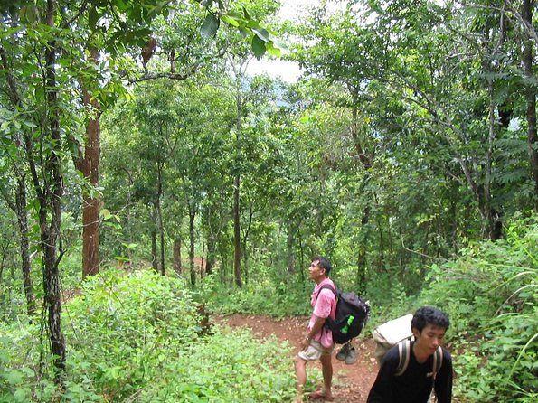 Full Day Trek to Kuang Si Waterfalls, Remote Village - Following the water to Kuang Si Heritage Rice Farm
