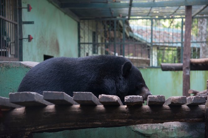 Full Day Trek to Kuang Si Waterfalls, Remote Village - Price and value: what $48 buys in a long day