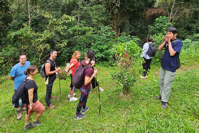 Full-Day Trekking and Sightseeing Tour in Mae Kampong - Lunch in the mountains: included food that keeps the day flowing