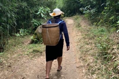 Full Day Trekking in Sapa - Rice fields trek: buffalo, chickens, and the farm view you came for