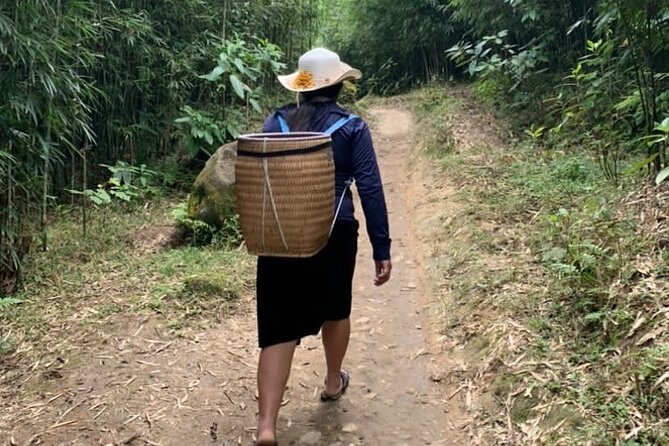 Full Day Trekking in Sapa - Rice fields trek: buffalo, chickens, and the farm view you came for