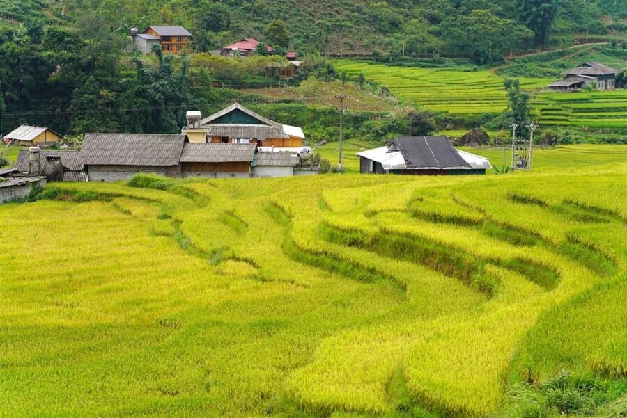 Full Day Trekking Lao Chai-Ta Van and Cat Cat Village - Price and value at $46: what you’re paying for (and when it’s worth it)