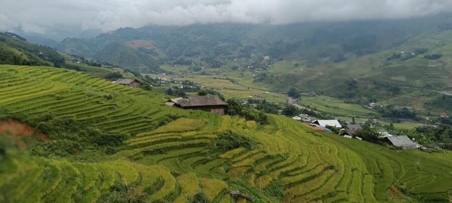 Full Day Trekking Lao Chai-Ta Van and Cat Cat Village - Ta Van village: Dzay culture and a satisfying mid-trek reset