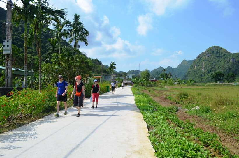 Fullday Trekking in Cat Ba National Park to Viet Hai Village - Lan Ha Bay by Boat, Then Kayak and Swim