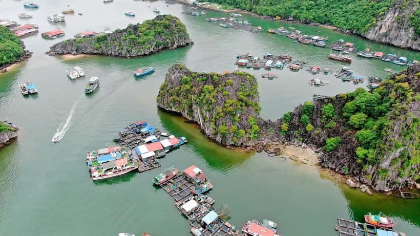 Fullday Trekking in Cat Ba National Park to Viet Hai Village - Price and Value: $26 Sounds Low, Then You See What’s Extra