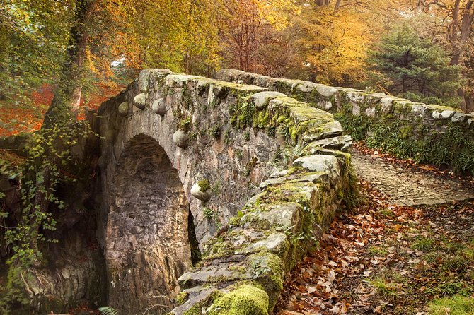 Game of Thrones - Tollymore Forest Trek - Stop 3: the direwolf bridge where the Starks spot pups