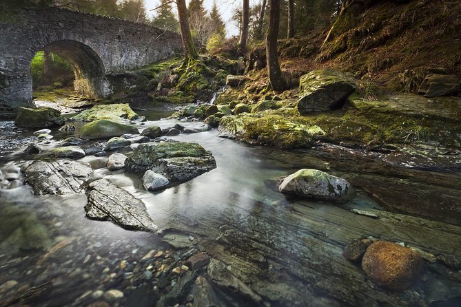 Game of Thrones - Tollymore Forest Trek - Small-group pace: how it improves both the story and the photos