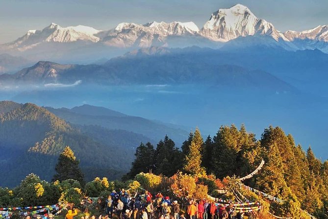 Ghorepani Ghandruk Trek ( Poon Hill circuit, Annapurna sunrise view trek) - Tadapani to Chhomrong and Jhinu Danda (or Ghandruk): Hot Springs and Heart-Tug Views