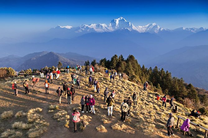 Ghorepani Poon Hill Sunrise Trek - Key highlights I’d plan around