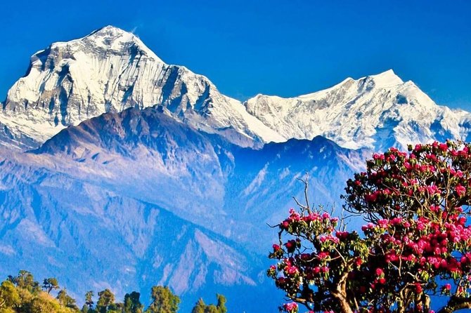 Ghorepani Poon Hill Sunrise Trek - Poon Hill sunrise: the 6:15am promise and what can affect it