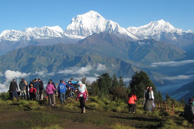 Ghorepani - Poon Hill Trek 3N-4D - Teahouses, meals, and the guide team: the comfort layer you actually feel