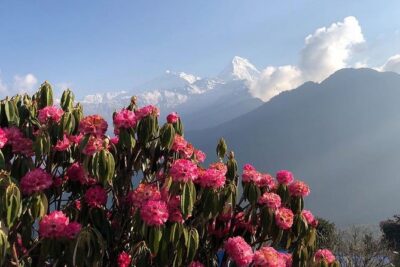 Ghorepani Poon Hill Trek - Poon Hill and the Annapurna Views, Without the Multi-Week Commitment