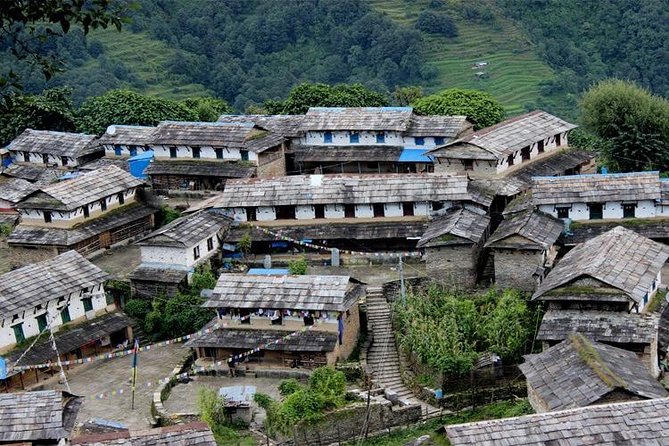 Ghorepani Poon Hill Trek - The guide experience: why the named professionals matter