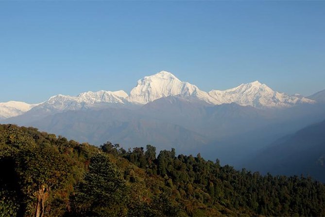 Ghorepani Poon Hill Trek - Who should book this trek, and who should think twice