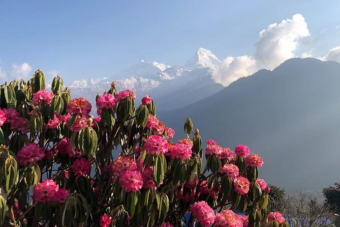 Ghorepani Poon Hill Trek - Poon Hill and the Annapurna Views, Without the Multi-Week Commitment