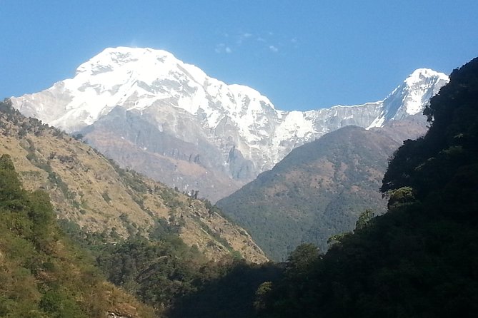 Ghorepani Poon Hill Trekking - Tadapani to Ghandruk: the downhill that feels like village life