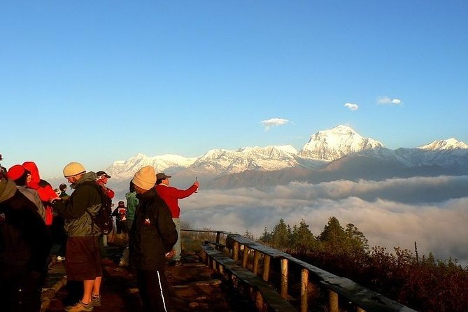Ghorepani Poonhill Trek 5 Days from Pokhara - Key things that make this trek worth your time