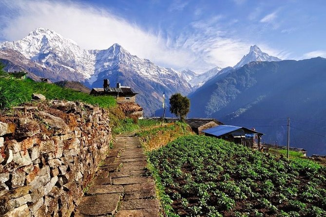 Ghorepani Poonhill Trek 5 Days from Pokhara - Why the Ghorepani Poonhill Trek is a smart 5-day plan from Pokhara