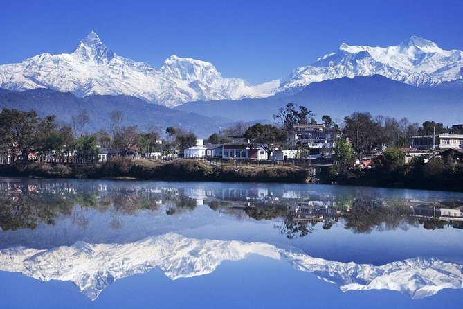Ghorepani Poonhill Trek -8 Days - Day 4: Ulleri to Ghorepani through rhododendron forests