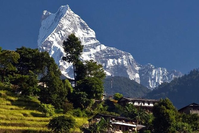 Ghorepani Poonhill Trek -8 Days - Day 5: The big sunrise day at Poon Hill (3,210m)