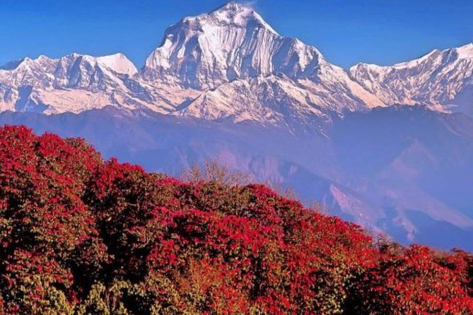 Ghorepani Poonhill Trek -8 Days - Day 1–2: Kathmandu arrival and Pokhara’s warm-up views