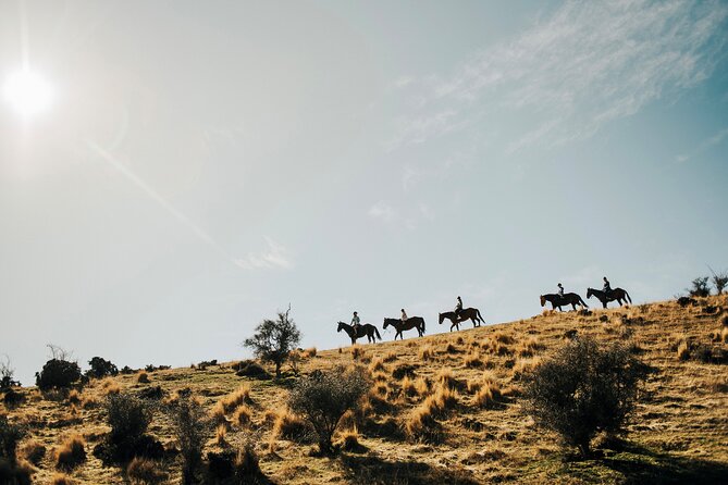 Gold Discovery Trail Horse Trek Cardrona - Most popular! - Getting Matched with Your Horse in Cardrona