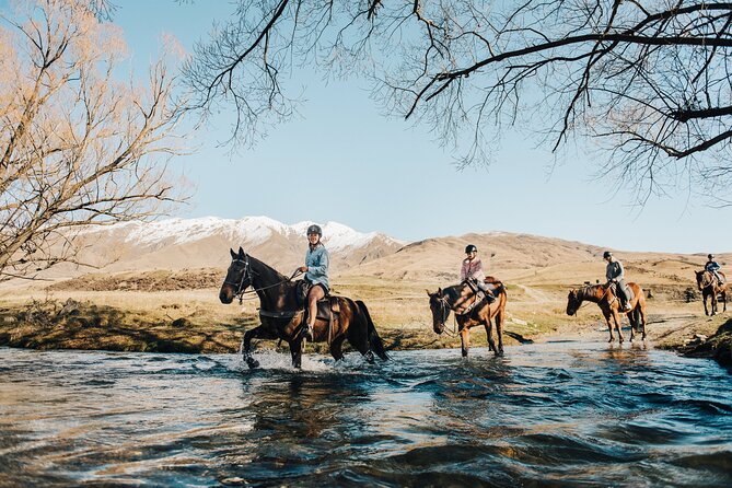 Gold Discovery Trail Horse Trek Cardrona - Most popular! - Climbing for Views Over Lake Wānaka