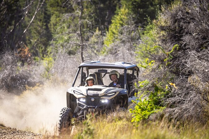 Gold Discovery Trail Horse Trek Cardrona - Most popular! - Who Should Book This Horse Trek (and who might not)