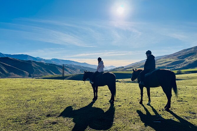 Gold Discovery Trail Horse Trek Cardrona - Most popular! - Should You Book the Gold Discovery Trail Horse Trek Cardrona?