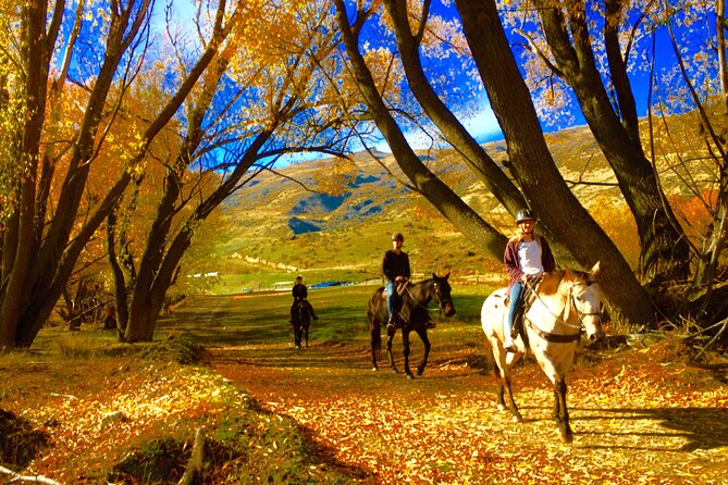 Gold Discovery Trail Horse Trek Cardrona - Most popular! - Safety, Instruction, and How Beginner-Friendly It Really Is