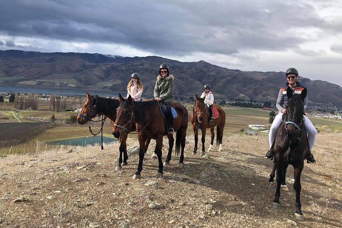 Golden Hills Horse Trek in Central Otago - Key Highlights You’ll Actually Care About