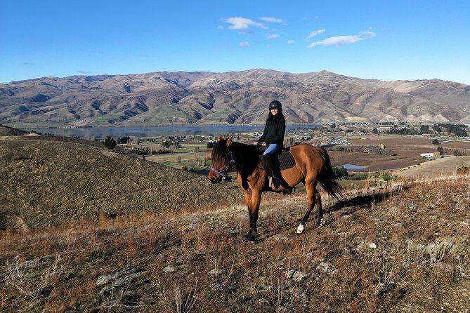 Golden Hills Horse Trek in Central Otago - First Minutes Matter: Helmets, Horse Matching, and a Calm Start