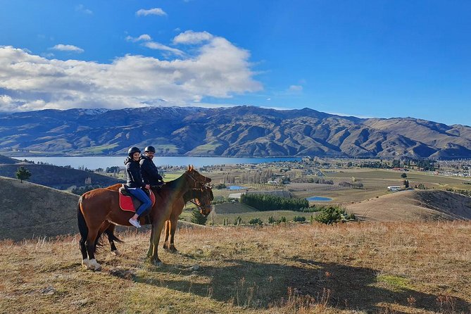 Golden Hills Horse Trek in Central Otago - The Pacing System: What Beginners Get, and What Experienced Riders Can Expect