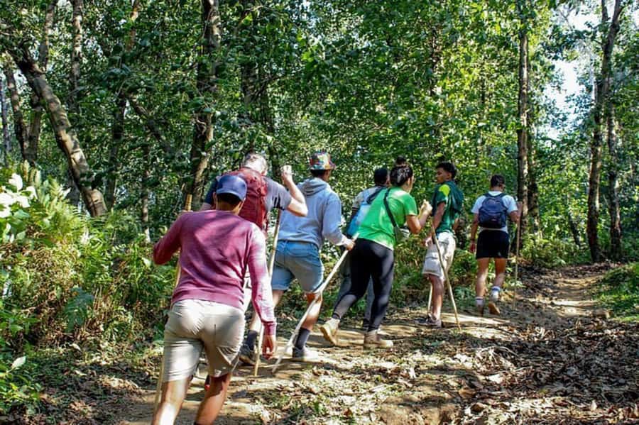 Golden Monkey Trekking with lunch - Key things to know before you go