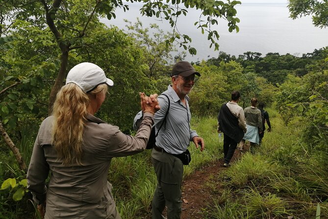 Gombe National Park Chimpanzee Trekking - What a private guide changes for your chimp chances