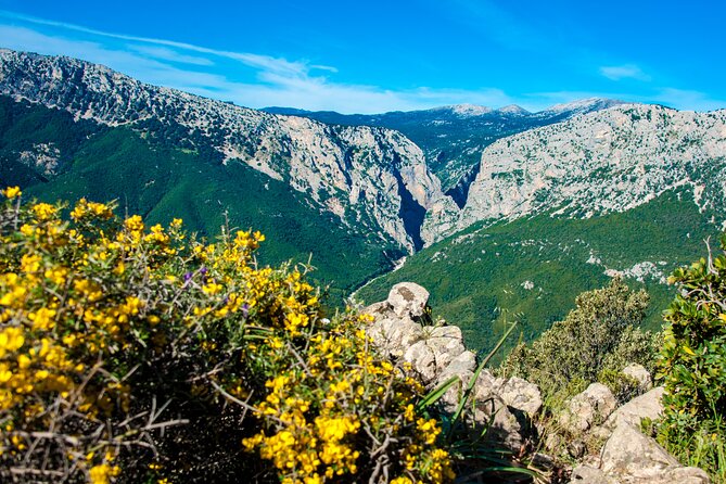 Gorropu canyon guided hike - Gorropu Canyon: what makes it special right away