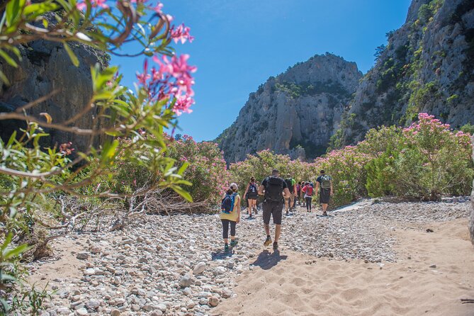 Guided hike to Cala Luna, the pearl of the Gulf of Orosei - Boat Option to Cala Gonone: More Time on the Beach, Less Walking
