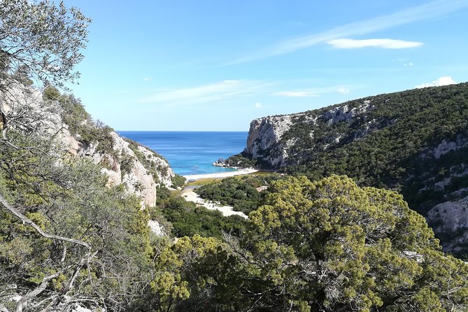 Guided hike to Cala Luna, the pearl of the Gulf of Orosei - Guides Like Sergio: Knowing the Trail Improves Everything